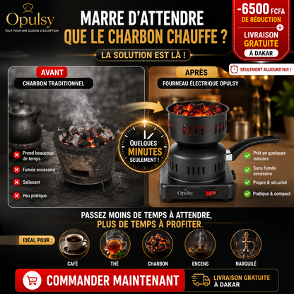 Fourneau électrique multifonctionnelle